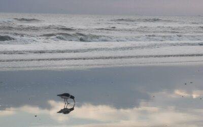 Maareh… Waar gaat zo’n coachtraject bij jou dan over?