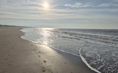 Vitamine Zon, Zee & Energie