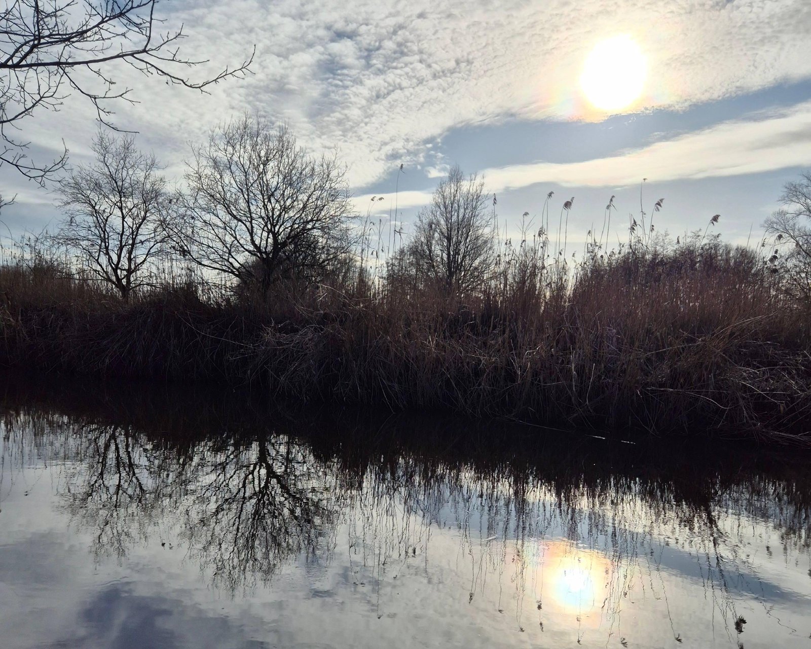 Het jasje van de kameleon